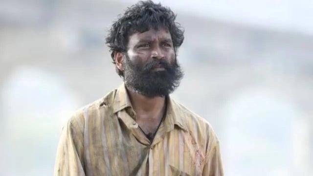 Kuberaa Box Office Collection Day 7: Dhanush, Nagarjuna Film Ends First Week With Rs 69 Crore