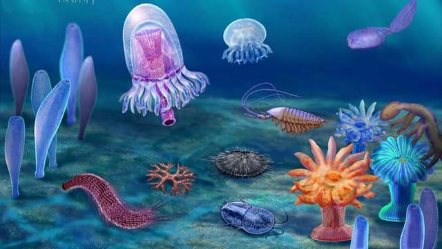 A reconstruction of early Cambrian ocean life in South China. Image credit: Dongjing Fu.