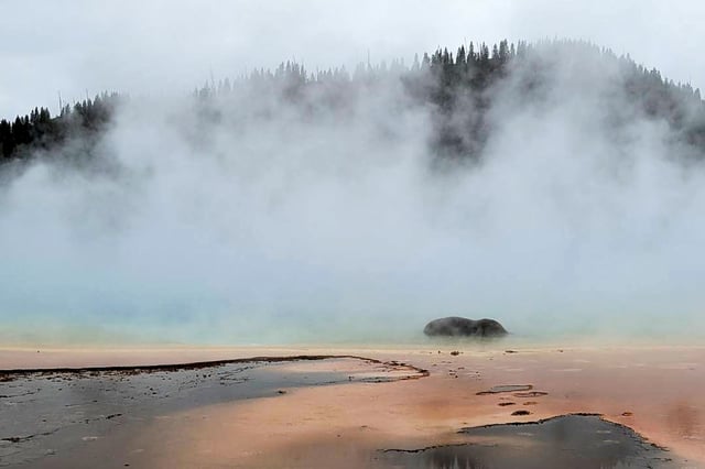 A large bison dying in a Yellowstone National Park hot spring, on June 21, 2025.