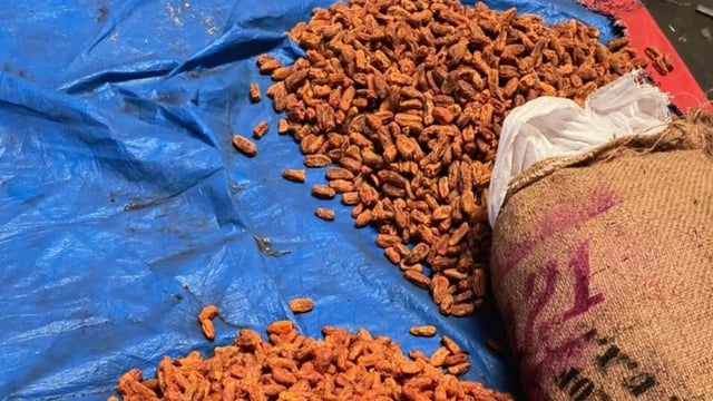 DRI seizes dry dates worth ₹9 cr illegally imported from Pak