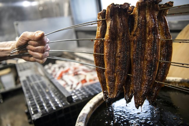 Eel is eaten worldwide but is particularly popular in Japan, where is called 'unagi' and traditionally served grilled after being covered in a sticky-sweet sauce