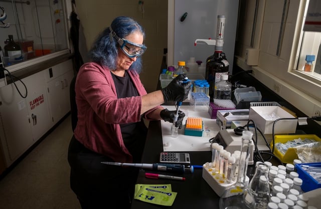 **HANDOUT**SINGLE USE** July 3, 2024; Professor Marya Lieberman prepares a fentanyl solution in her lab. ( Marya Lieberman, professor in the Department of Chemistry and Biochemistry at Notre Dame and corresponding author of the study, works in her research lab. Photo by Barbara Johnston/University of Notre Dame)