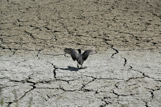 The world is fast approaching a key global warming threshold