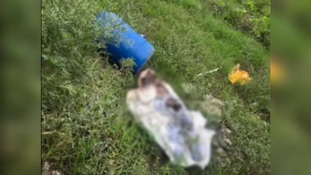 Man's decomposed body found in a drum in Ludhiana.  | Image: X