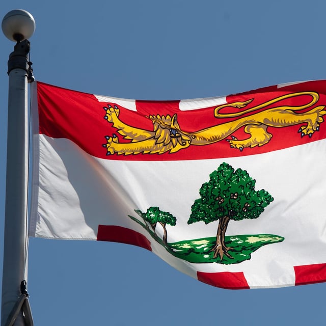Prince Edward Island's provincial flag flies on a flag pole in Ottawa on July 6, 2020. THE CANADIAN PRESS/Adrian Wyld