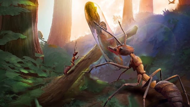 Ecological reconstruction of Cretaceous insects and insect-pathogenic fungi. An ant is discarding an infected pupa, and an infected fly is located on a distant tree trunk. Image credit: Zhuang et al., doi: 10.1098/rspb.2025.0407.