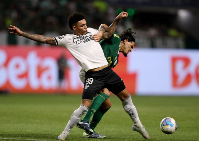 Soccer Football - Brasileiro Championship - Palmeiras v Botafogo - Allianz Parque, Sao Paulo, Brazil - November 26, 2024 Palmeiras' Gustavo Gomez  in action with Botafogo's Igor Jesus REUTERS/Carla Carniel