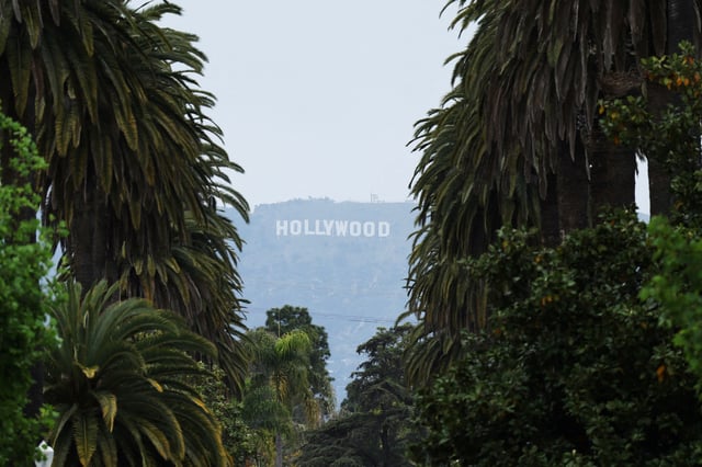 The Hollywood Sign is framed by palm trees as U.S. President Donald Trump unveils a 100% tariff on films made outside of the U.S., in Los Angeles, California, U.S. May 5, 2025.  REUTERS/David Swanson/File Photo