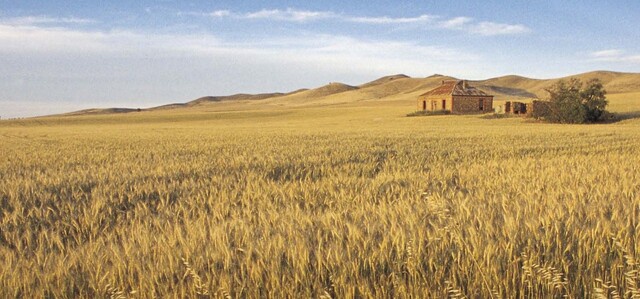 Applications for the Drought Relief Regional Event Fund open on July 1. (Supplied: SATC)