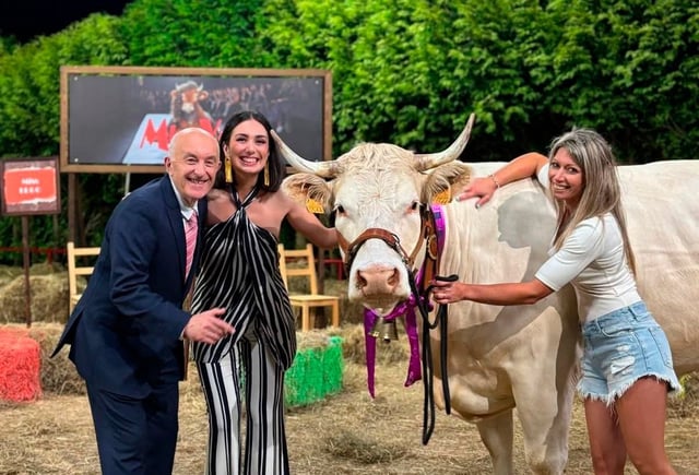 «Boneca», ganadora de «Miss vaca 2025»