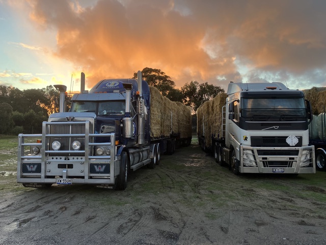A hay run started at dawn on June 9 for farmers battling drought across the region. (Supplied)