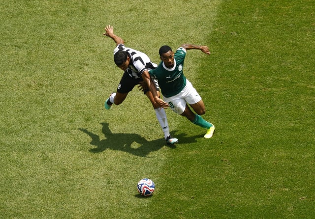 Soccer Football - FIFA Club World Cup - Round of 16 - Palmeiras v Botafogo - Lincoln Financial Field, Philadelphia, Pennsylvania, U.S. - June 28, 2025 Palmeiras' Allan in action with Botafogo's Danilo Barbosa REUTERS/Susana Vera