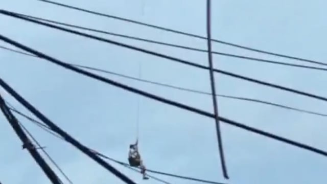 Footage captured by a witness showed the drone soaring 65 feet into the air, with the man hanging beneath it, his legs dangling from the harness.