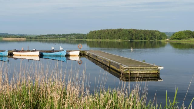 The boy was reported missing from Lochore Meadows country park