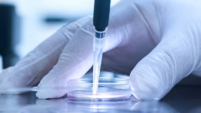 The study covered six IVF centres in Italy and Spain