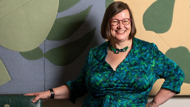 Dame Meg Hillier, who chairs the Commons Treasury committee, says the Lisa needs to be reformed