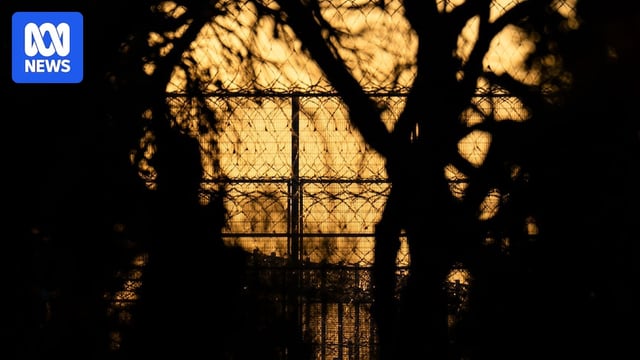 A barbed wire fence pictured through trees against an orange sky