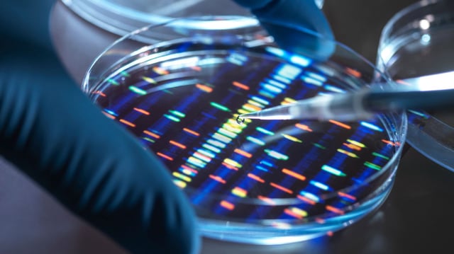 UK scientists aim to create synthetic human genomes.