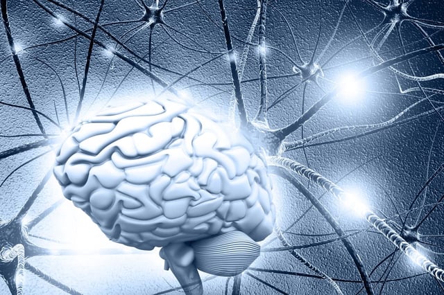 Sugar stores in the brain were previously thought to be unimportant