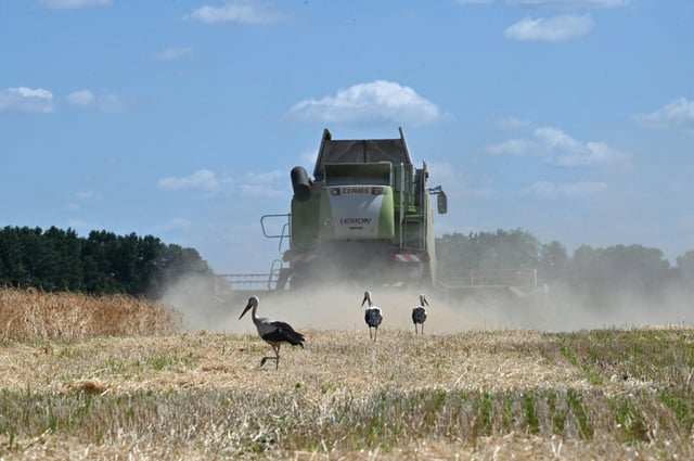 Die EU und die Ukraine haben sich auf ein Handelsabkommen für Agrarprodukte geeinigt. Es legt neue Obergrenzen für die zollfreie Einfuhr von Produkten wie Weizen, Geflügel, Mais und Honig fest, wie EU-Handelskommissar Maros Sefcovic mitteilte.
