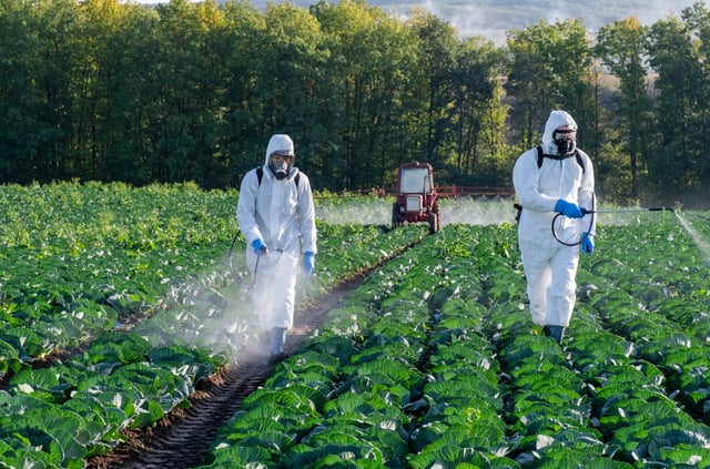 Loi Duplomb : les députés et les sénateurs aboutissent à un compromis admettant la réintroduction d'un pesticide