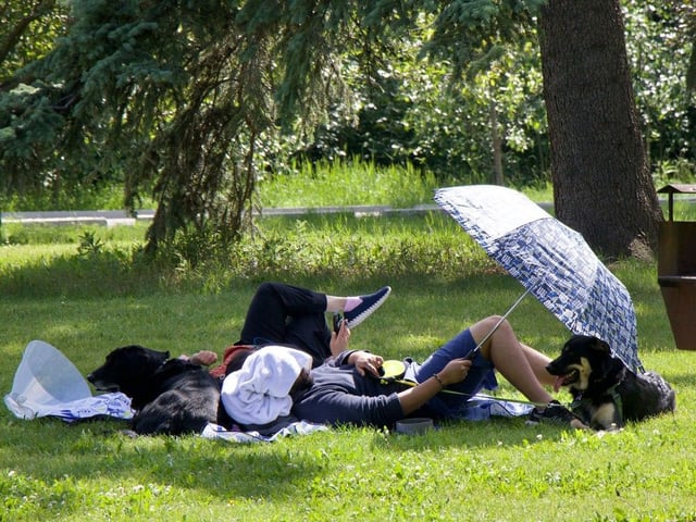 A couple kicks back in Emily Murphy park on Wednesday, June 25, 2025, with an umbrella and a pair of dogs as thunder rumbled from the dark clouds above. Shaughn Butts/Postmedia