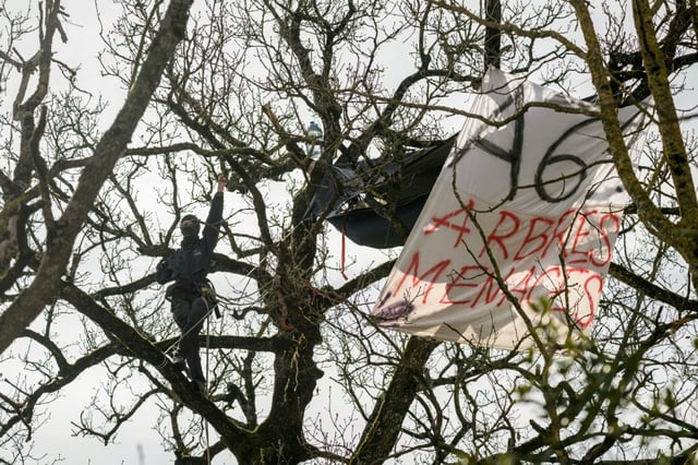 Des défenseurs de l'environnement dans un arbre sur le tracé de l'A69, à Castres, le 27 février 2025