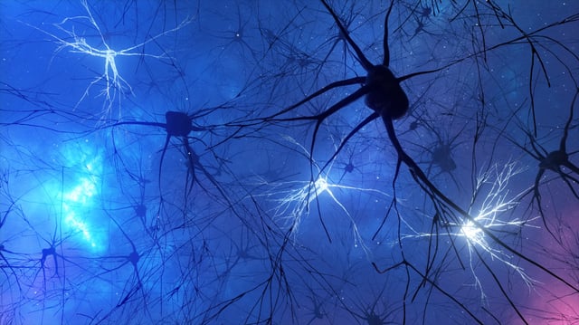 Artist&#39;s impression of neurons in the brain.