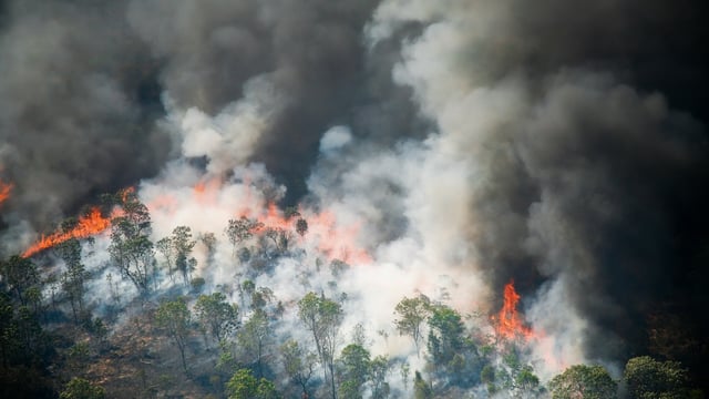 Esparto Fire