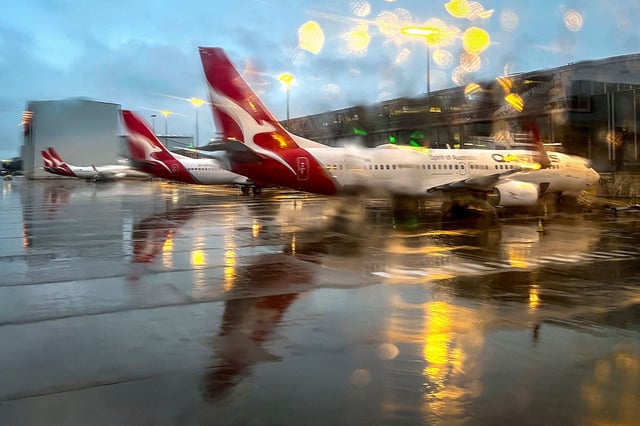 Qantas planes sit at Sydney Airport's domestic terminal on July 2, 2025.