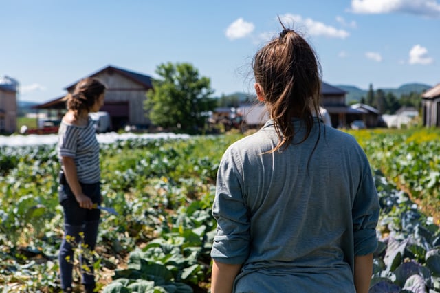 La FNSEA estime que «ces reliquats proviennent d’une inadéquation entre les objectifs de conversion en agriculture biologique et la réalité de l’évolution des marchés».