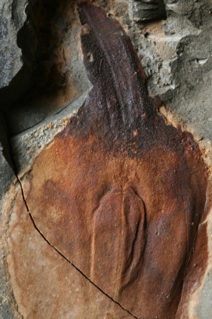 Post-extinction lycopod sporophyll.