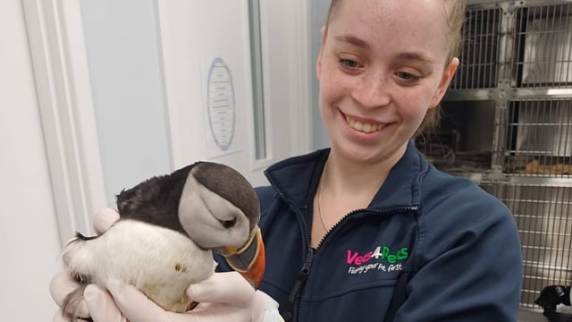 Staff at the veterinary practice that cared for her nicknamed the bird Oona