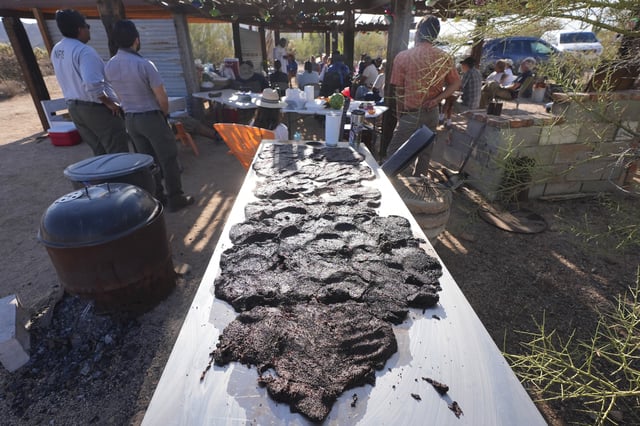 As crushed fruit from the Saguaro cactus harvest dries, The Rev. Aro Varnabas leads the St. John the Baptist's feast day Mass in Saguaro National Park near Tucson, Ariz., on Tuesday, June 24, 2025. (AP Photo/Ross D. Franklin)