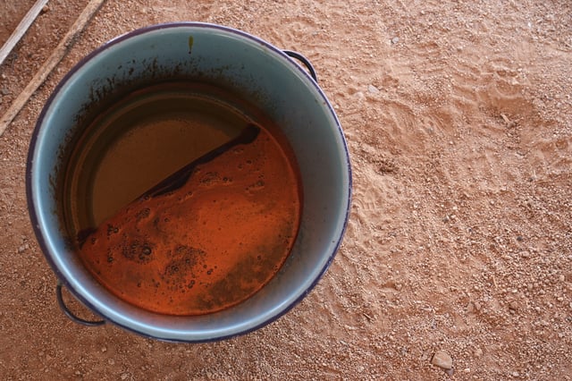 Saguaro cactus fruit juice cools after boiling it into a syrup on a harvest day for the Tohono Oʼodham people in Saguaro National Park near Tucson, Ariz., on Monday, June 23, 2025. (AP Photo/Ross D. Franklin)