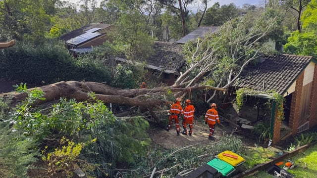 Wind damage in New South Wales on Wednesday, July 2, 2025. Credit NSW SES