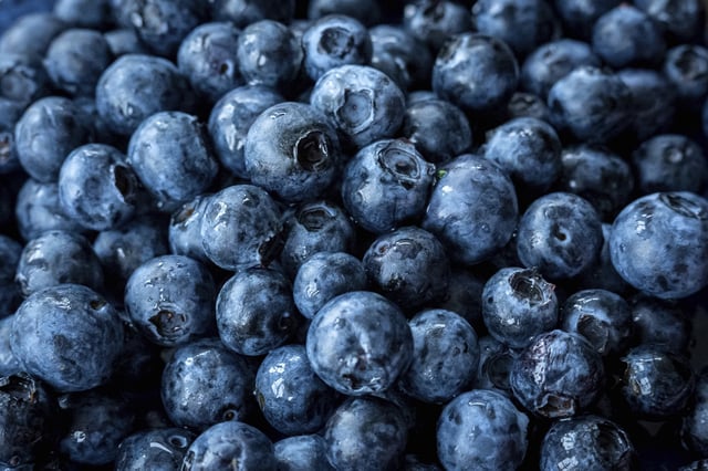 PRODUCTION - 26 May 2025, Bremen: Blueberries, also known as bilberries, lie on a dining table. Berry boom: from grandma&#39;s jam to &#34;superfood&#34; - blueberries have evolved from a niche product to a trendy snack. Photo by: Sina Schuldt/picture-alliance/dpa/AP Images