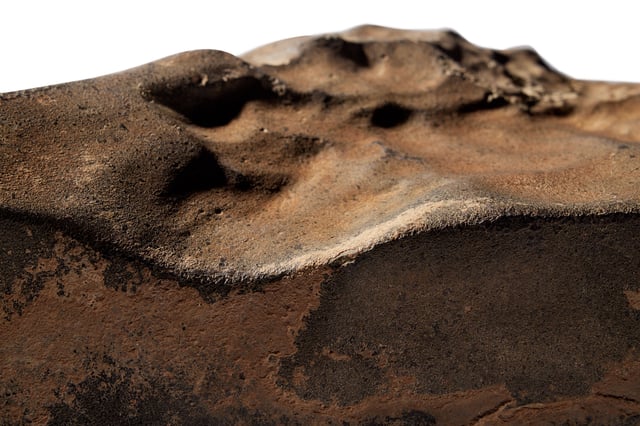 NWA 16788 meteorite