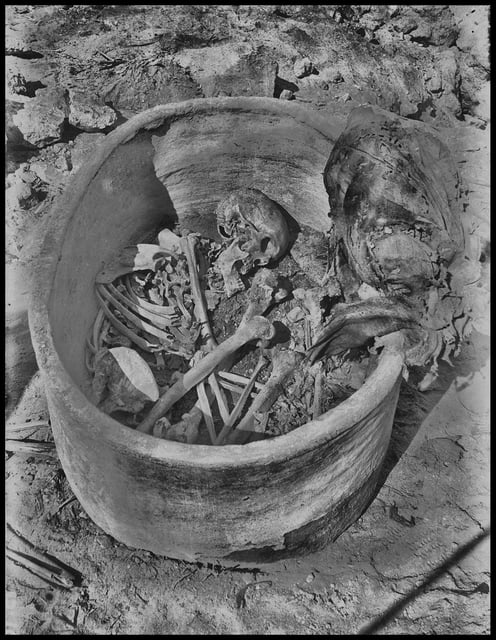 The remains are now kept at World Museum Liverpool.