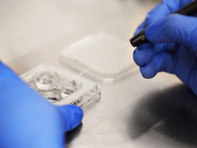 Would-be parents are able to apply for up to $19,000 for a single standard cycle of IVF treatment at participating B.C. fertility clinics starting July 2.