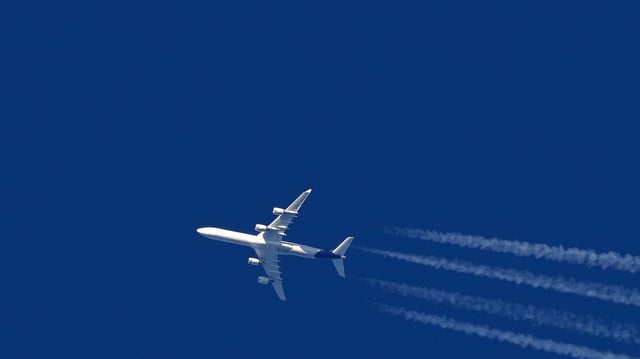 Eine Airline ist Opfer eines Cyberangriffs geworden.