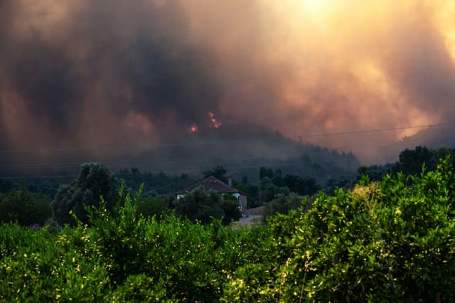 Un incendie de forêt à Izmir, en Turquie, le 30 juin 2025