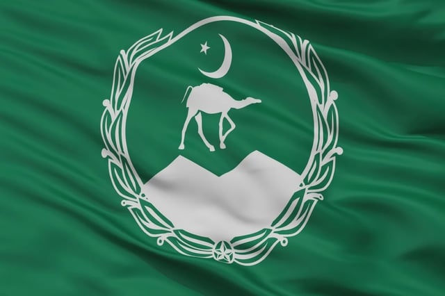 representational image /Balochistan City Flag (File photo)