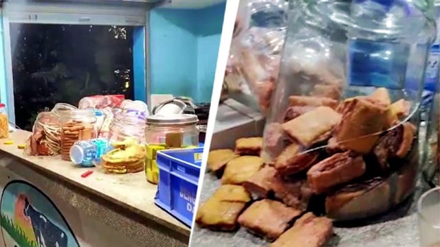 Murdered ex-Karnataka top cop's daughter vandalises milk booth in Bengaluru