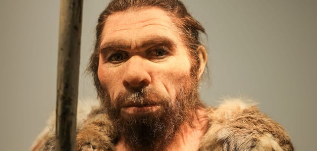 Nachbildung des Neandertalers im LVR-LandesMuseum Bonn