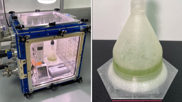 Mars algae