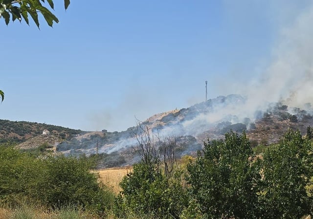Incendio forestal en Cabra