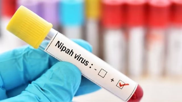 Three Kerala districts on alert after Nipah cases reported in Malappuram, Palakkad