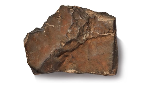 This piece of rock could sell for $4 million. It came from Mars