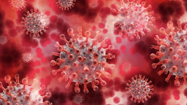 Kerala health minister Veena George confirmed that preventive measures have been strengthened in line with the Nipah protocol.